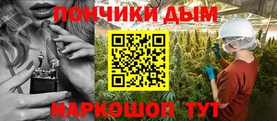 шишки Гагарин