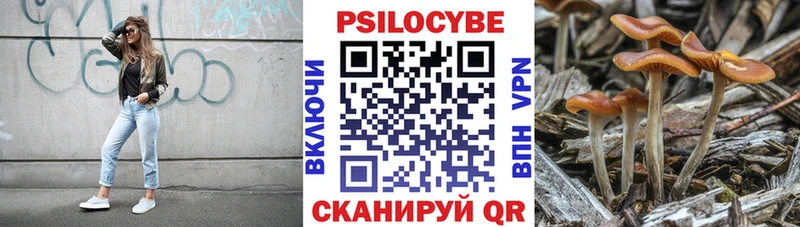 закладка  Майкоп  Псилоцибиновые грибы MAGIC MUSHROOMS 
