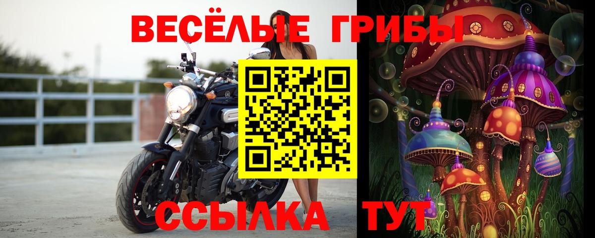 Галлюциногенные грибы Cubensis Майкоп
