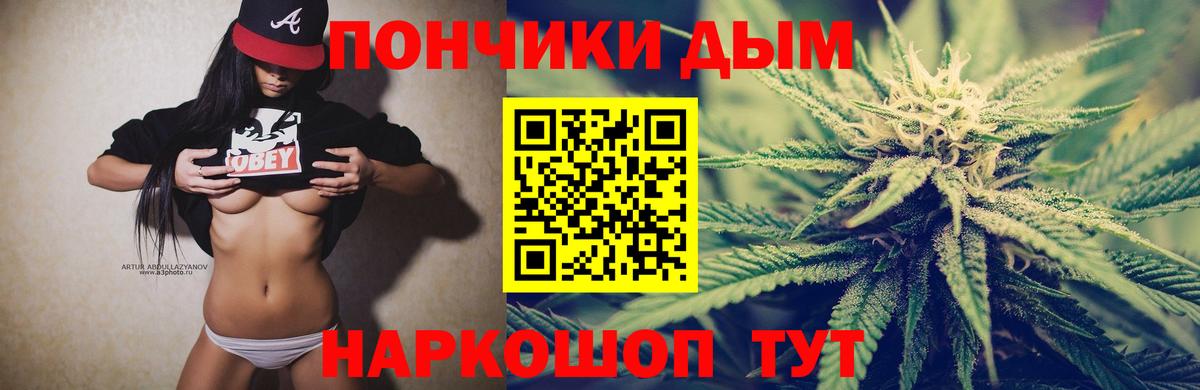 Каннабис планчик  Вход с VPN  Майкоп  Бошки Шишки THC 21%  Бошки Шишки сатива 