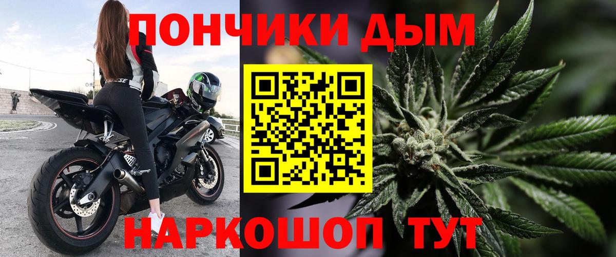 Шишки марихуана Amnesia Майкоп